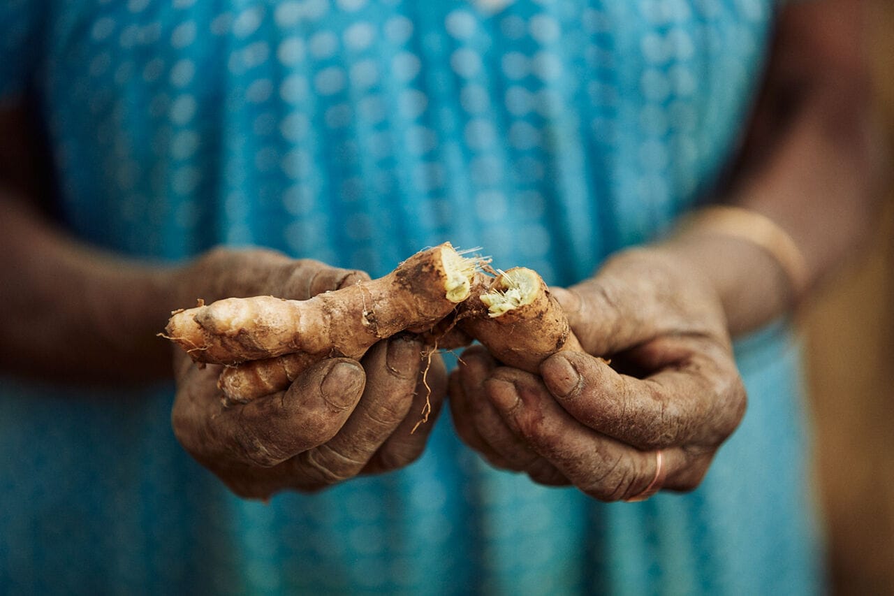 Fever-Tree Premium Ginger Beer, ou l'art de l'assemblage appliqué au gingembre